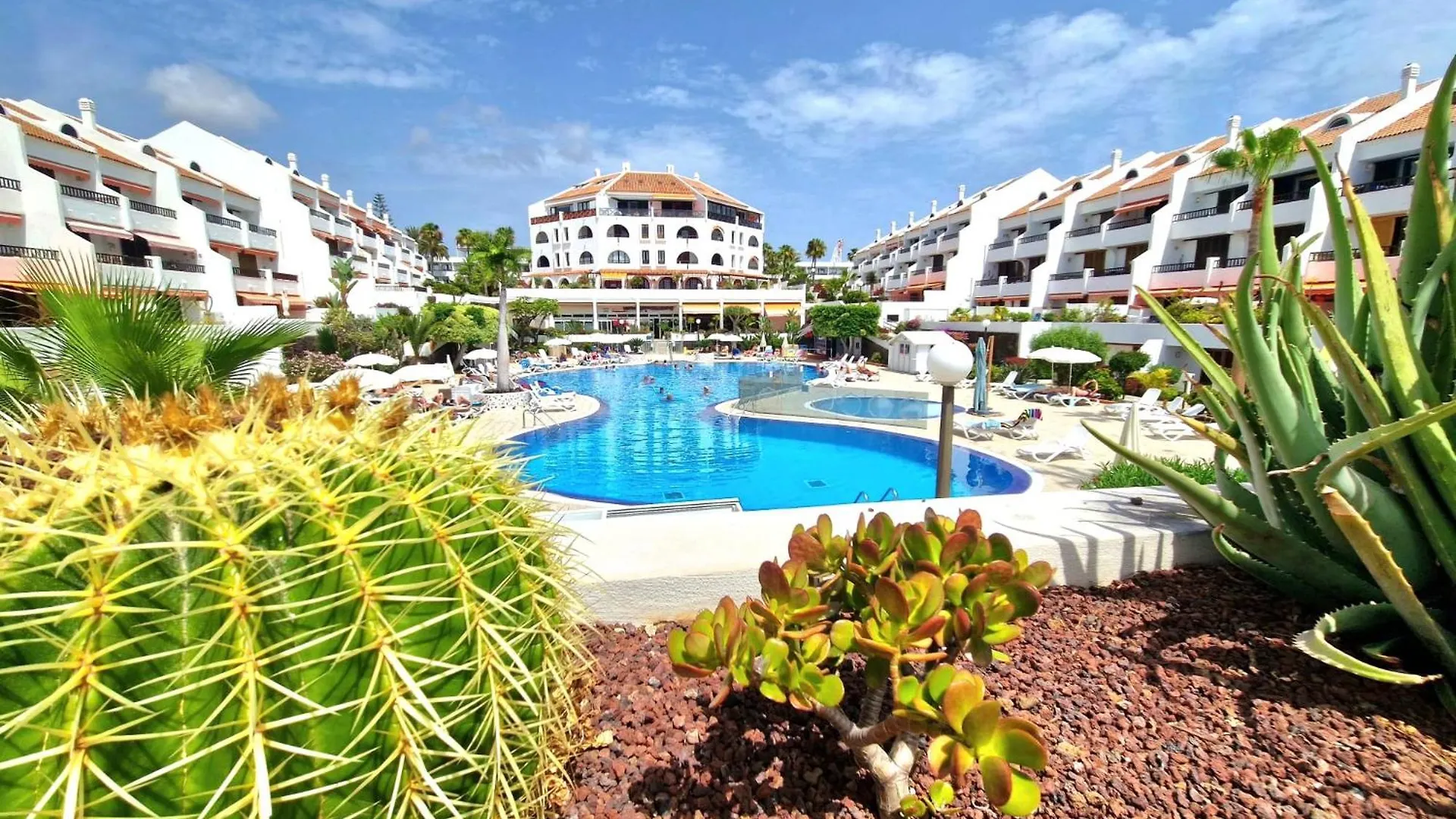 Apartment F-318 Parque Santiago 1 By Tenerife Dream Properties Playa de las Americas